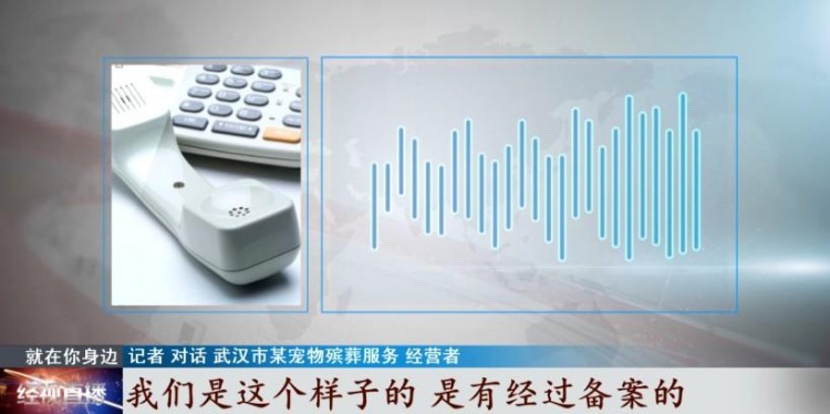 寵物經濟興起它們的身后事該何去何從