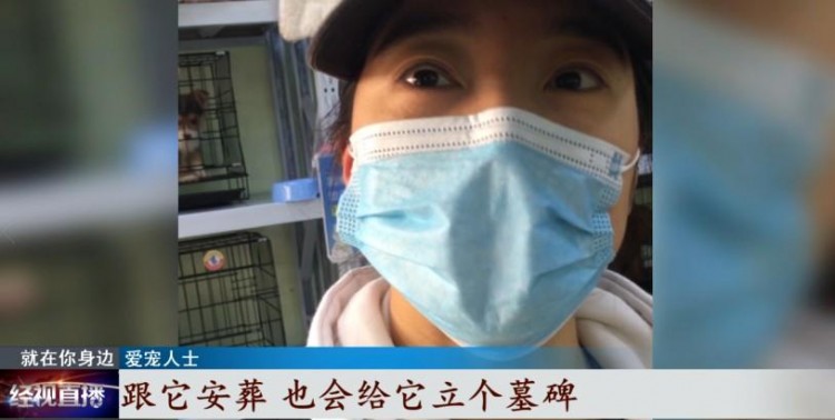 寵物經濟興起它們的身后事該何去何從