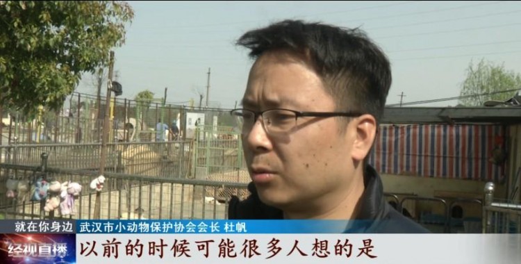 寵物經濟興起它們的身后事該何去何從
