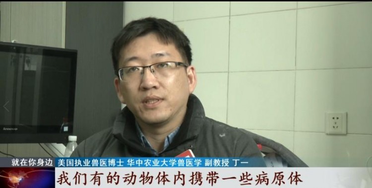 寵物經濟興起它們的身后事該何去何從