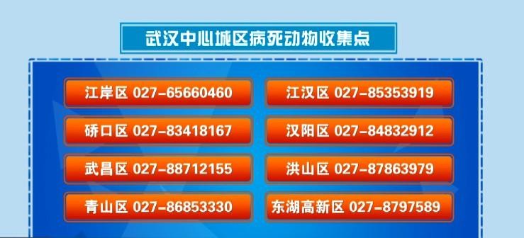 寵物經濟興起它們的身后事該何去何從