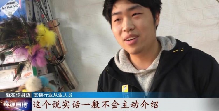 寵物經濟興起它們的身后事該何去何從