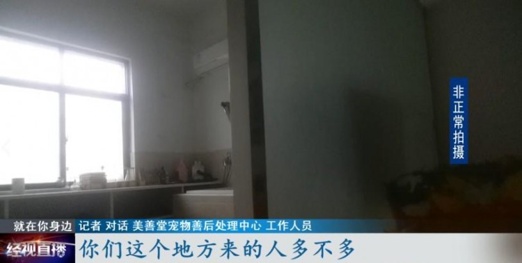 寵物經濟興起它們的身后事該何去何從
