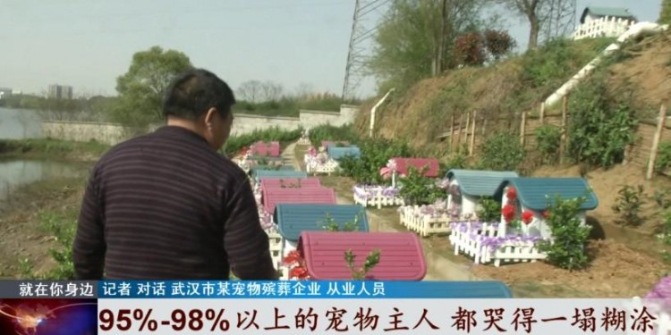寵物經濟興起它們的身后事該何去何從